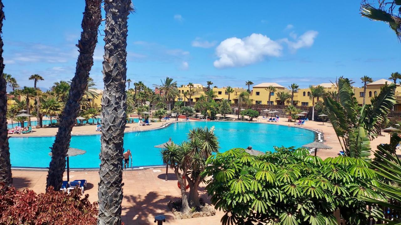 Tamarindo 27 Pool Front Next To The Dunes, Free Wifi Corralejo Eksteriør billede